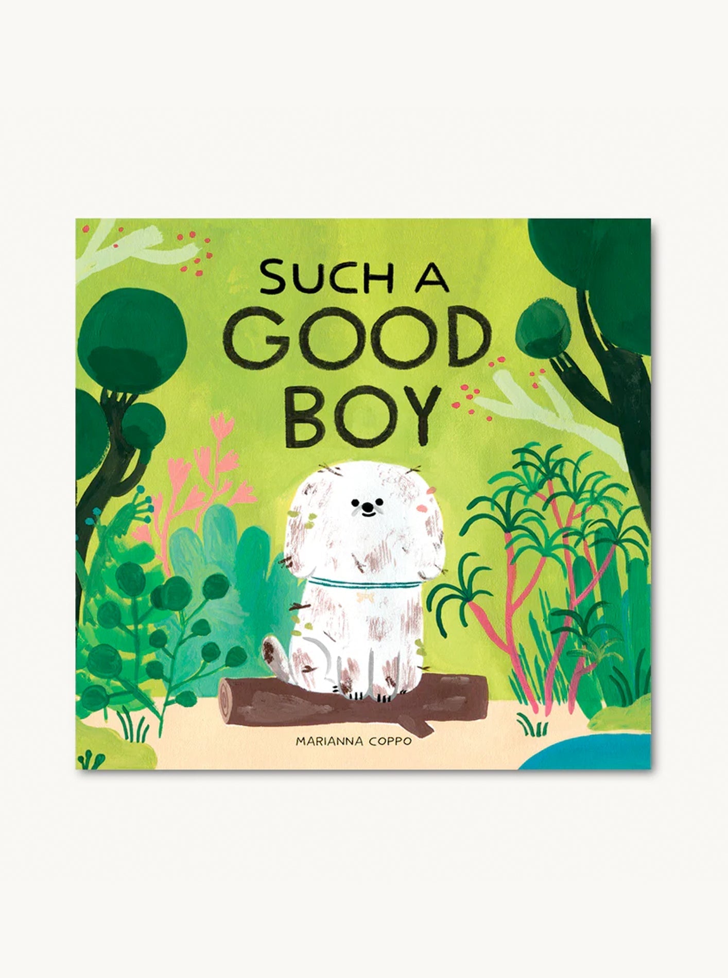 SUCH A GOOD BOY Children's Book