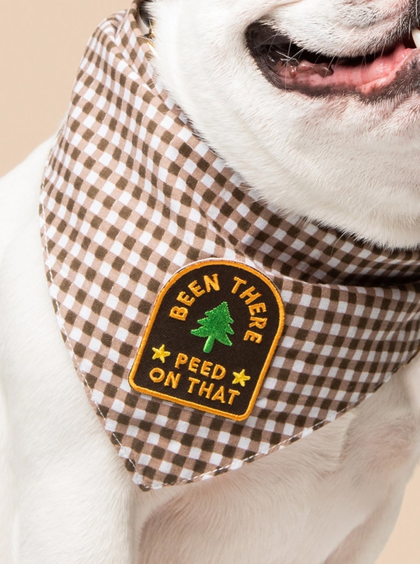 BEEN THERE PEED ON THAT IRON-ON PATCH by Scouts Honour
