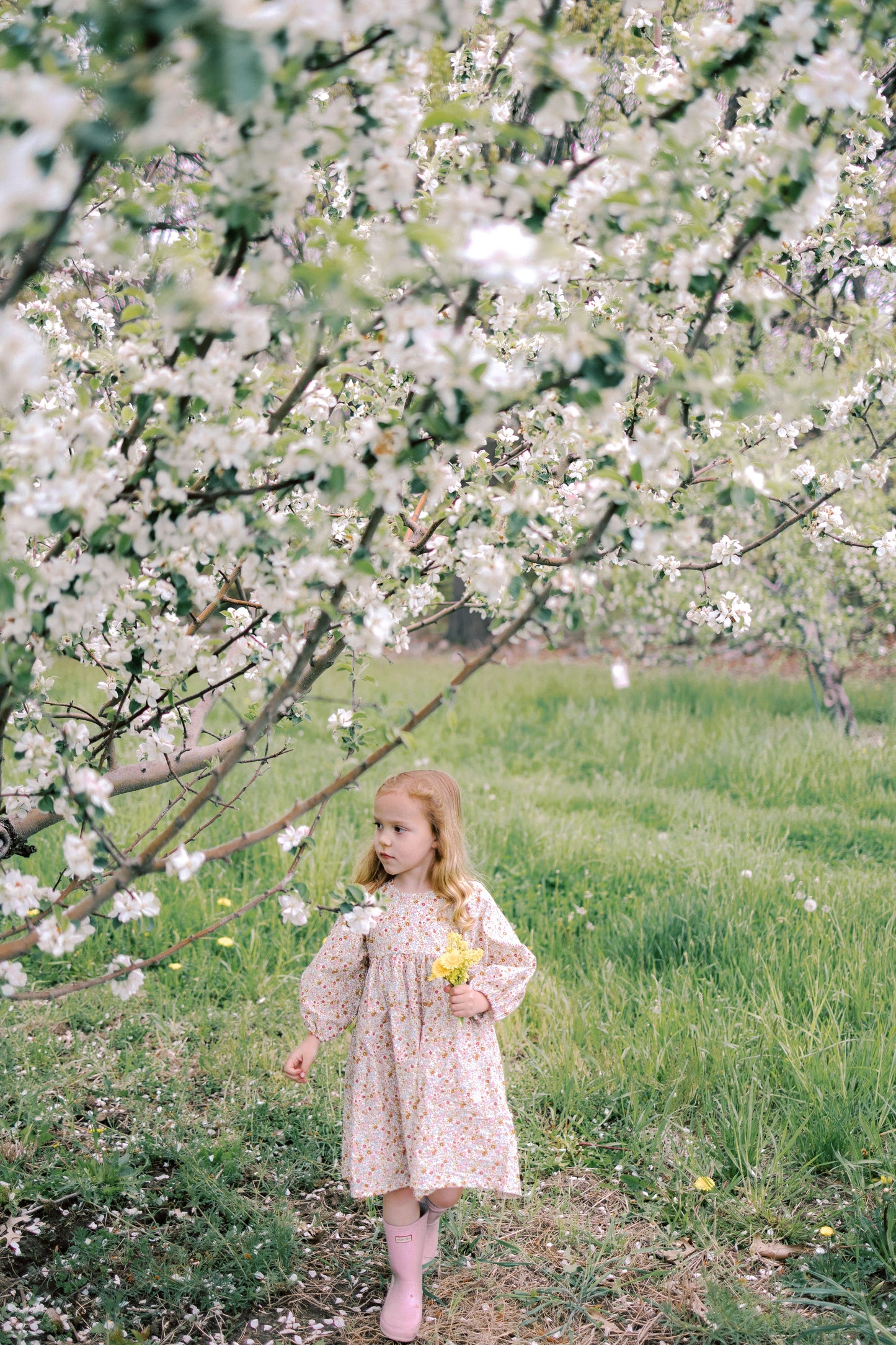 Willow Dress