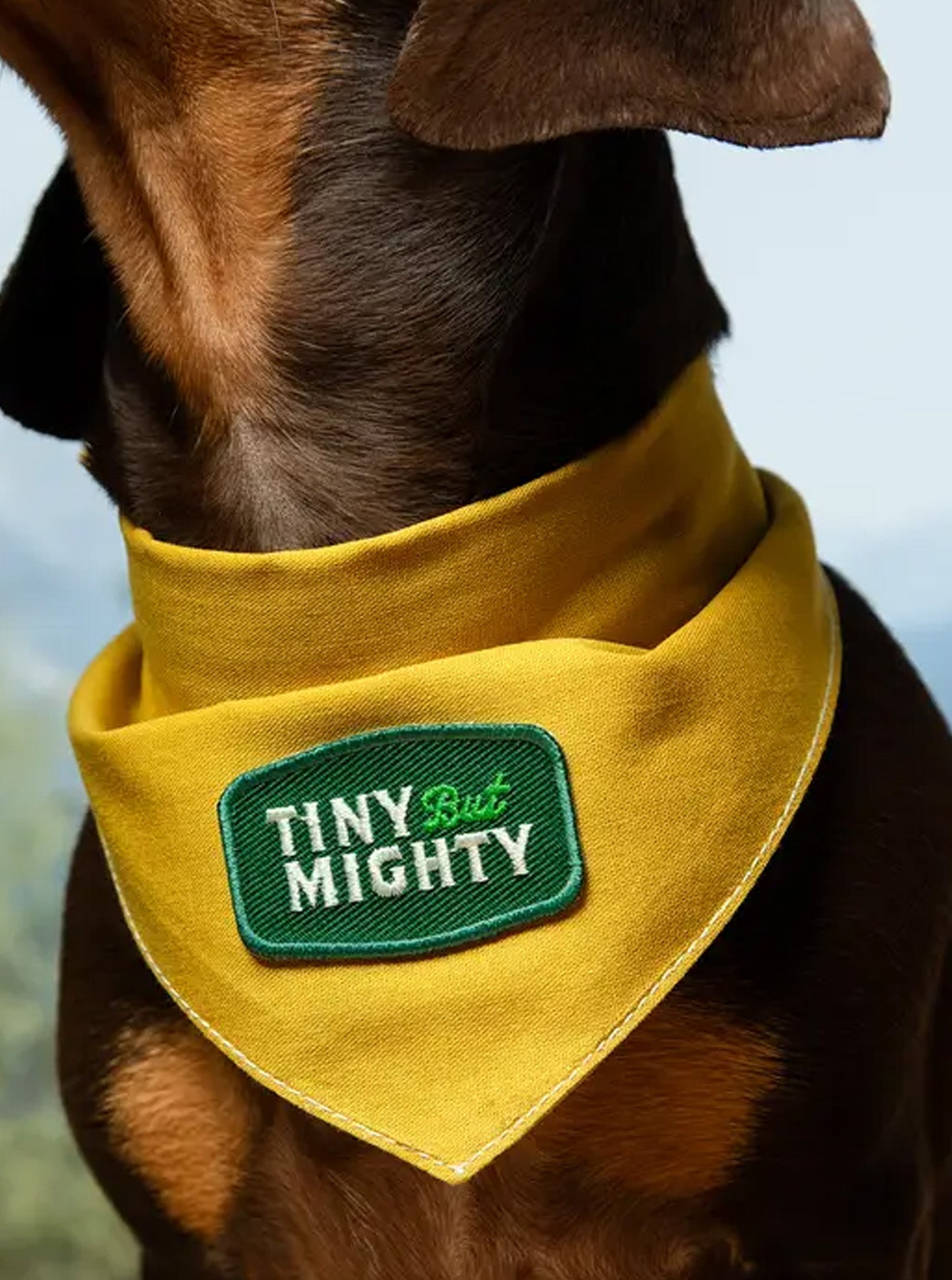 TINY BUT MIGHTY IRON-ON PATCH by Scouts Honour