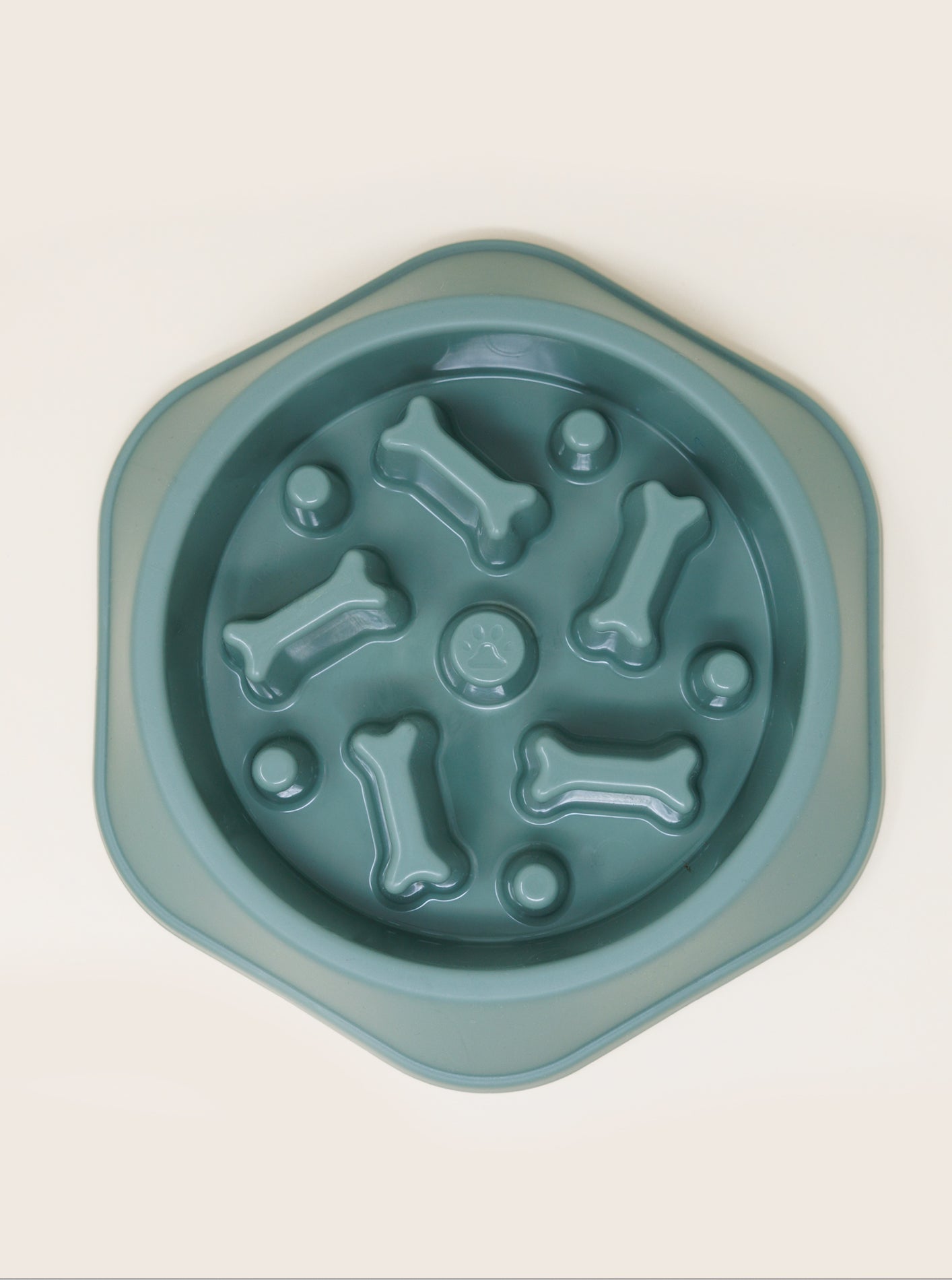 SLOW FEEDER BOWL