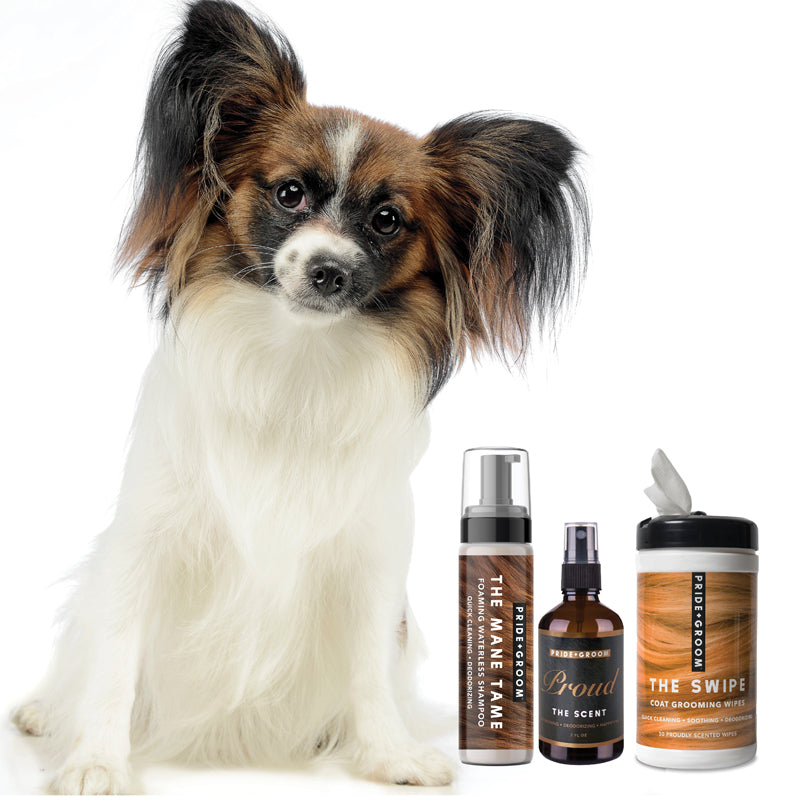 THE MID GROOM BUNDLE