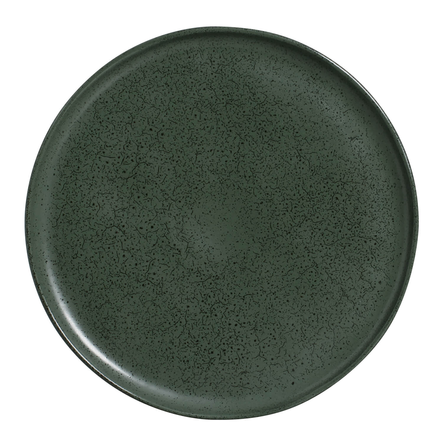 Buffet Dinner Plate Set of 6