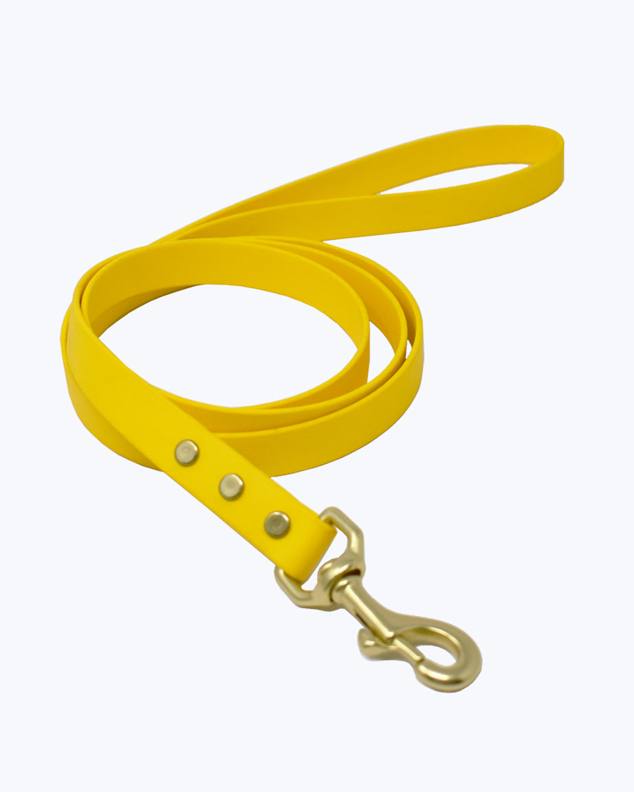 CLASSIC BRASS LEASH by High Tail Hikes