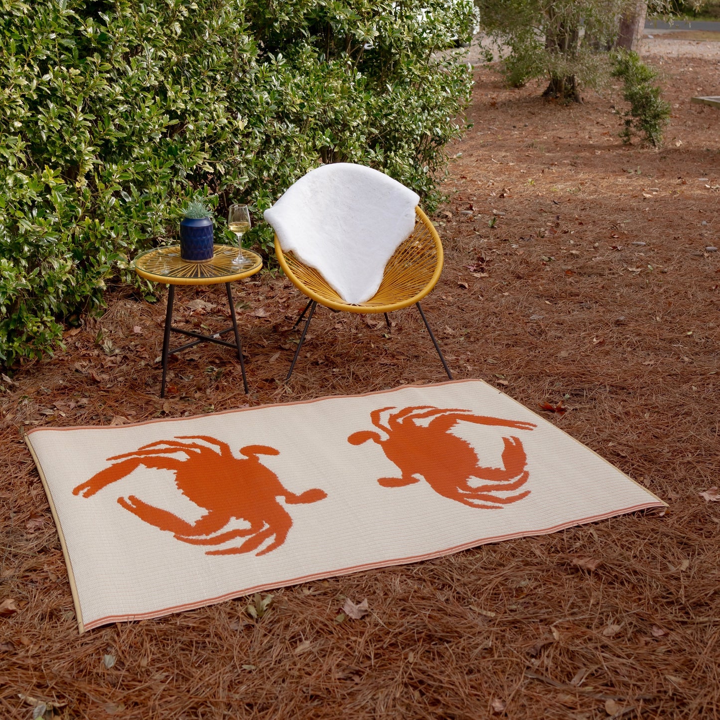 Double Crab Orange & Cream