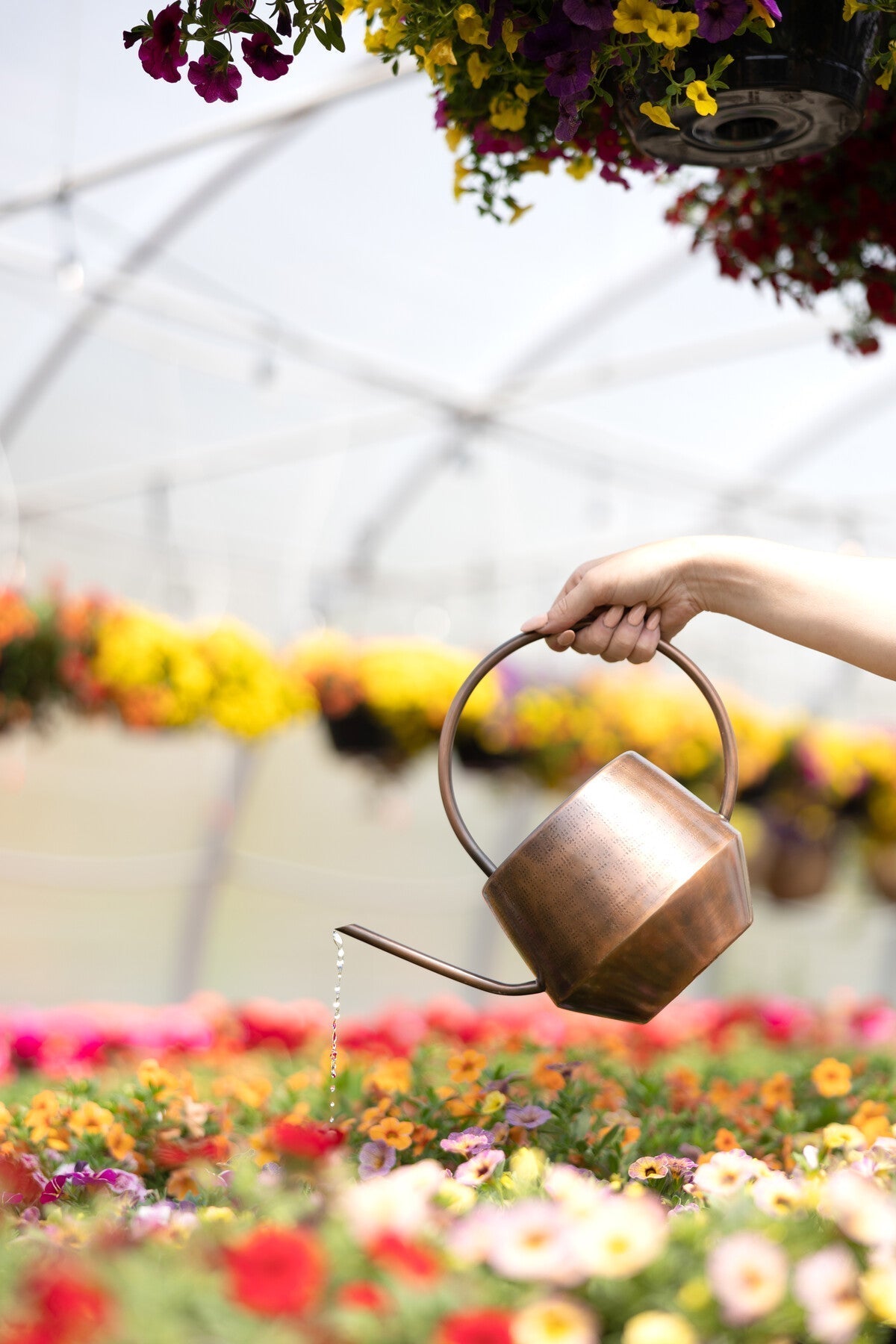 Antique Copper Watering Can