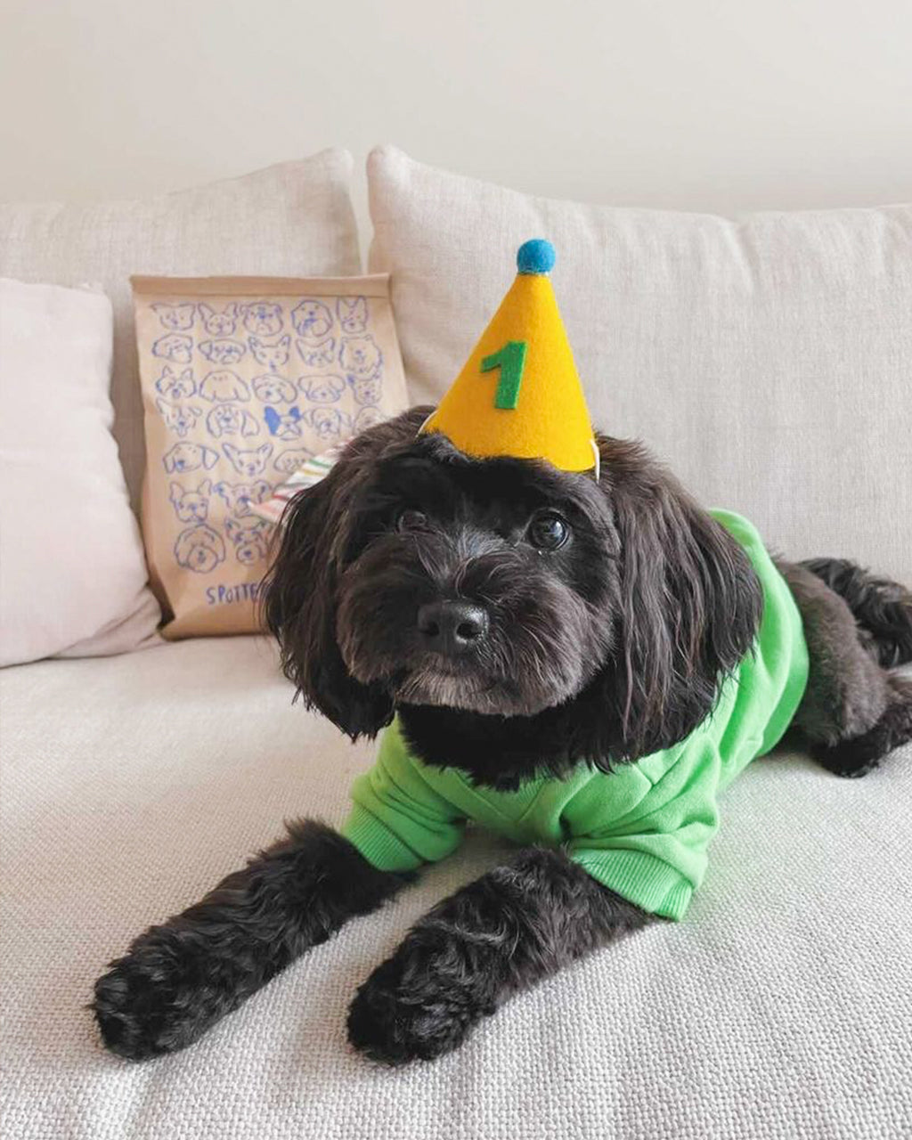 PAWTY HAT - Green number