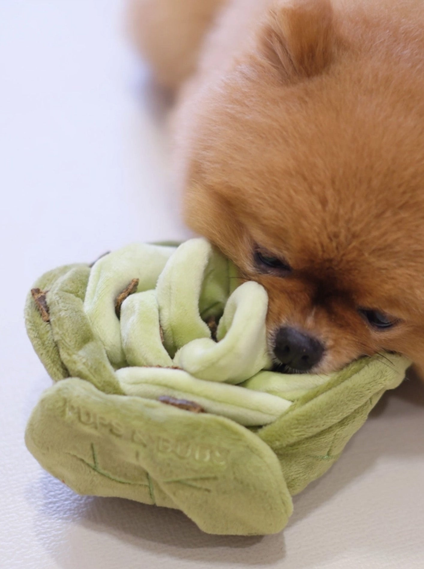 SNUFFLE CABBAGE NOSEWORK TOY by Pups & Bubs
