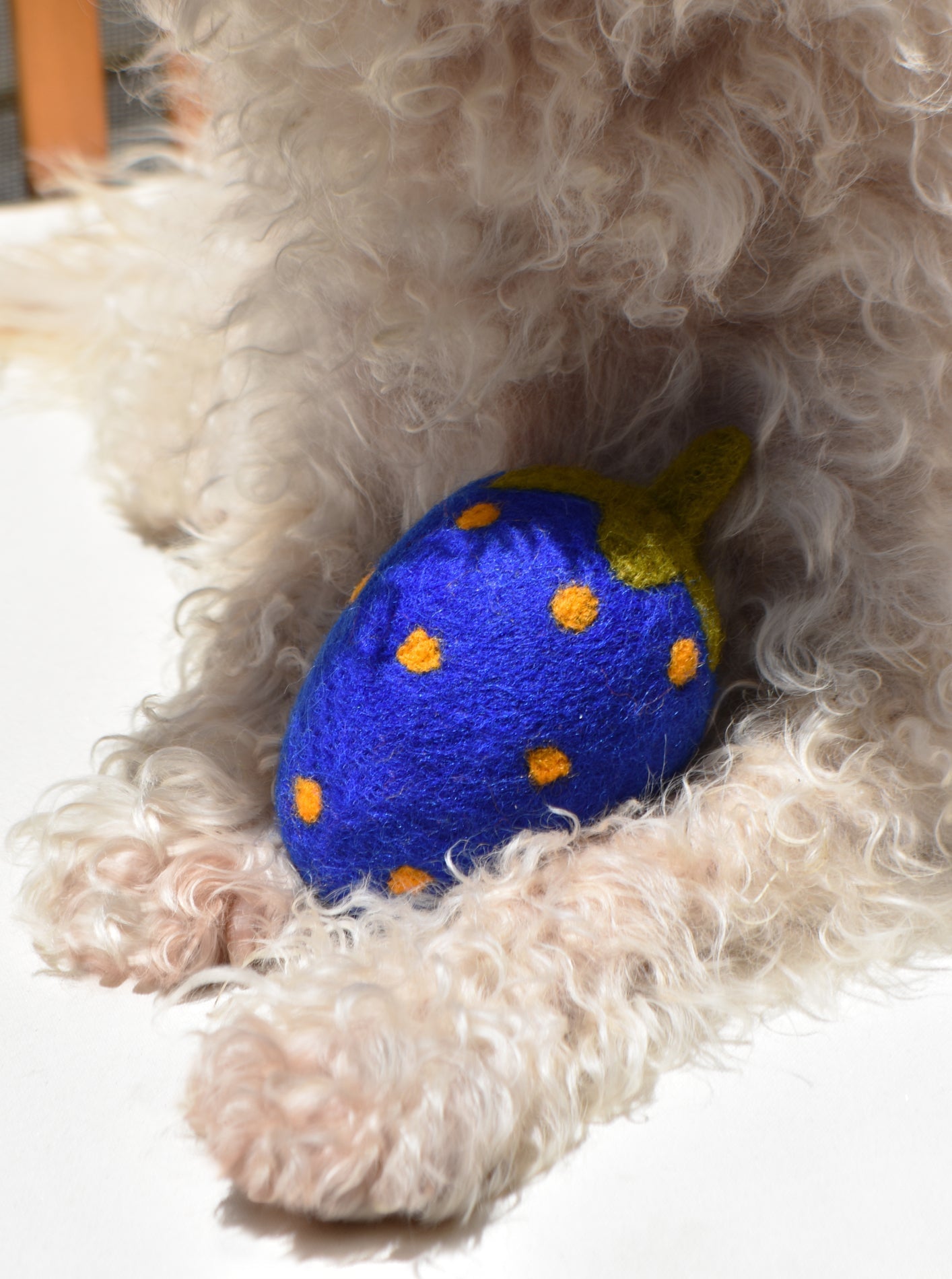 DOGGY STRAWBERRY - BLUE
