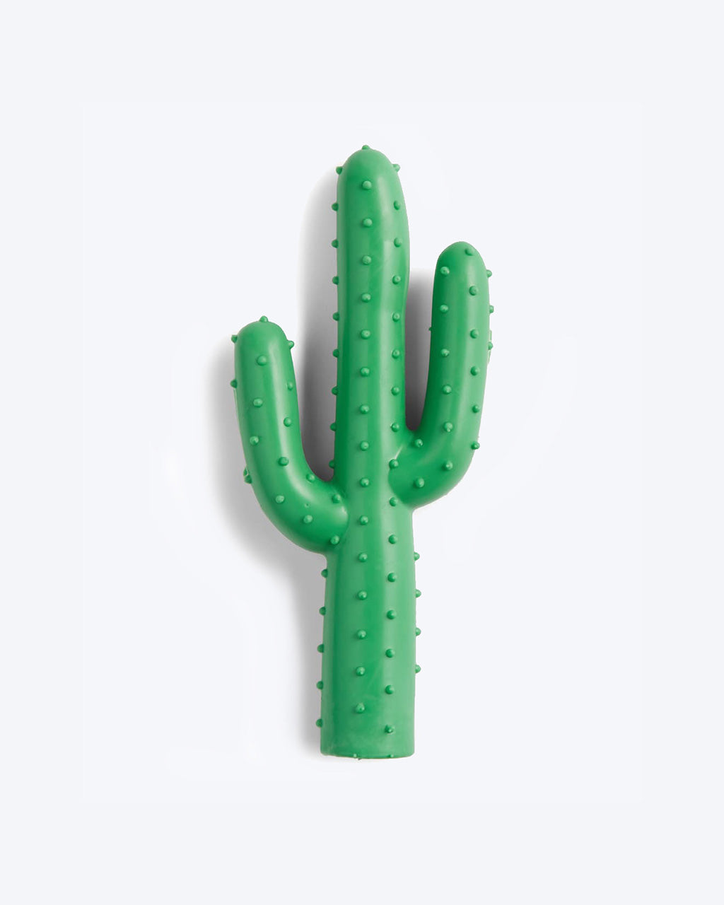 CACTUS by Waggo