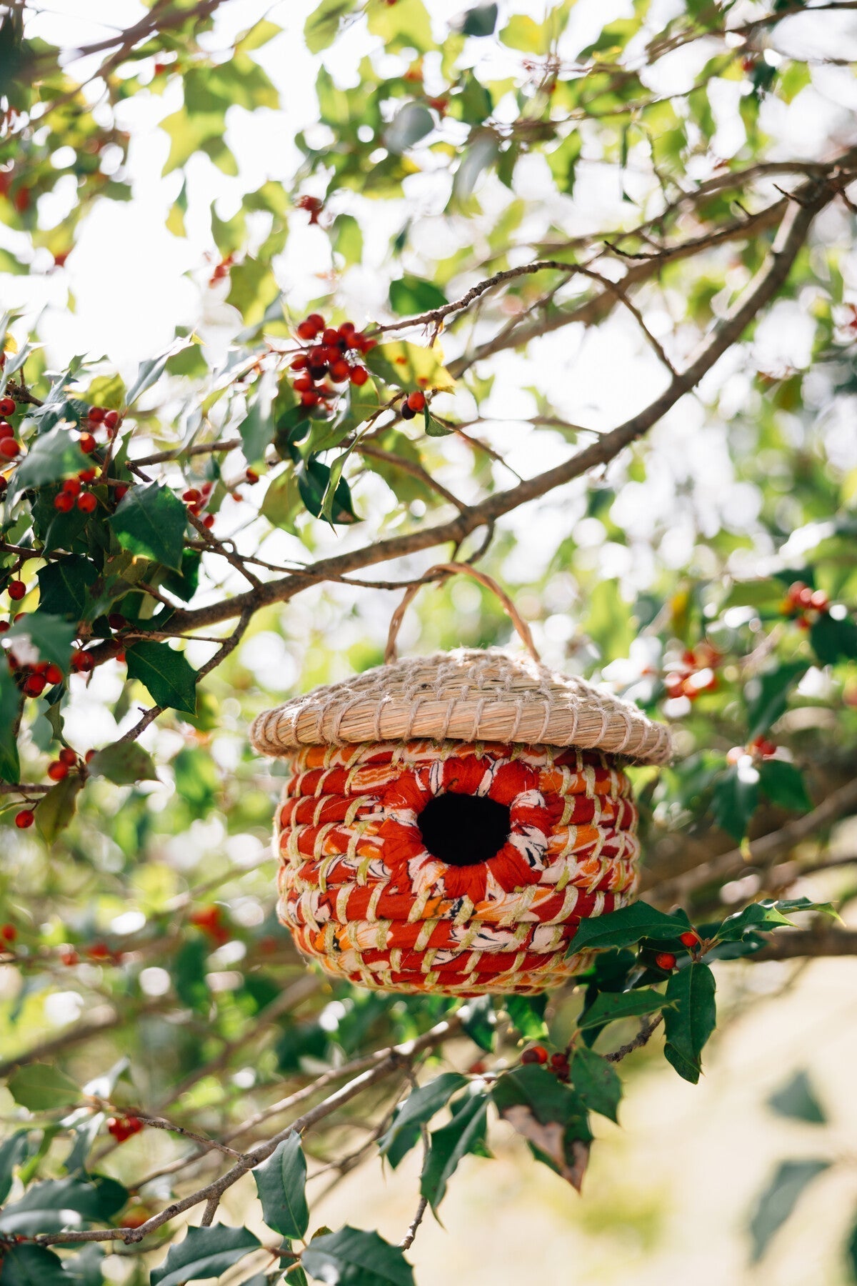 Acorn Sari Birdhouse