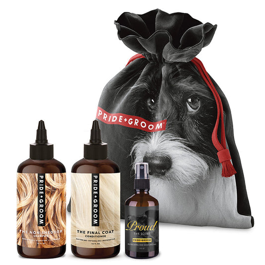 THE BIG DELUXE DOGGY BAG