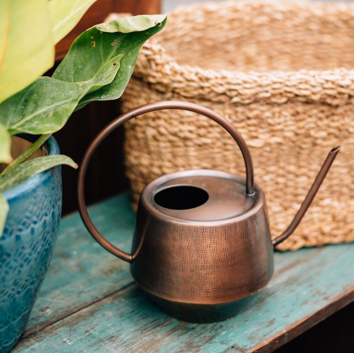 Antique Copper Watering Can