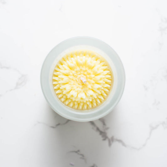 Brown Box Sale! Dandelion Flower Candle