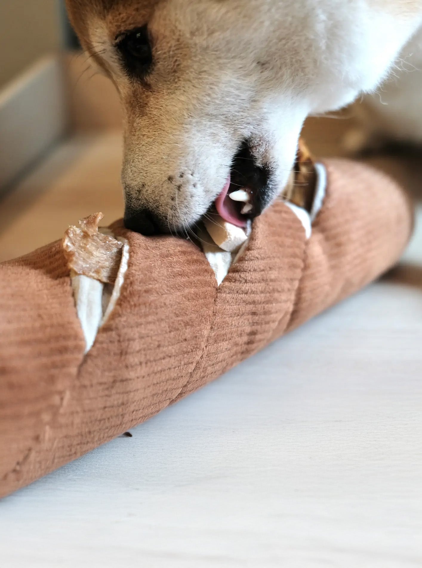 BAGUETTE - ENRICHMENT DOG TOY