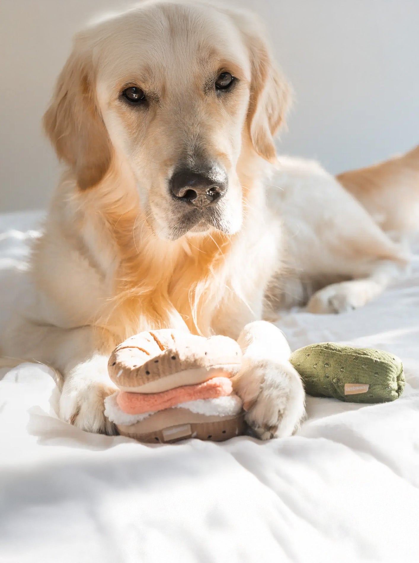 BAGEL + PICKLE - ENRICHMENT DOG TOY