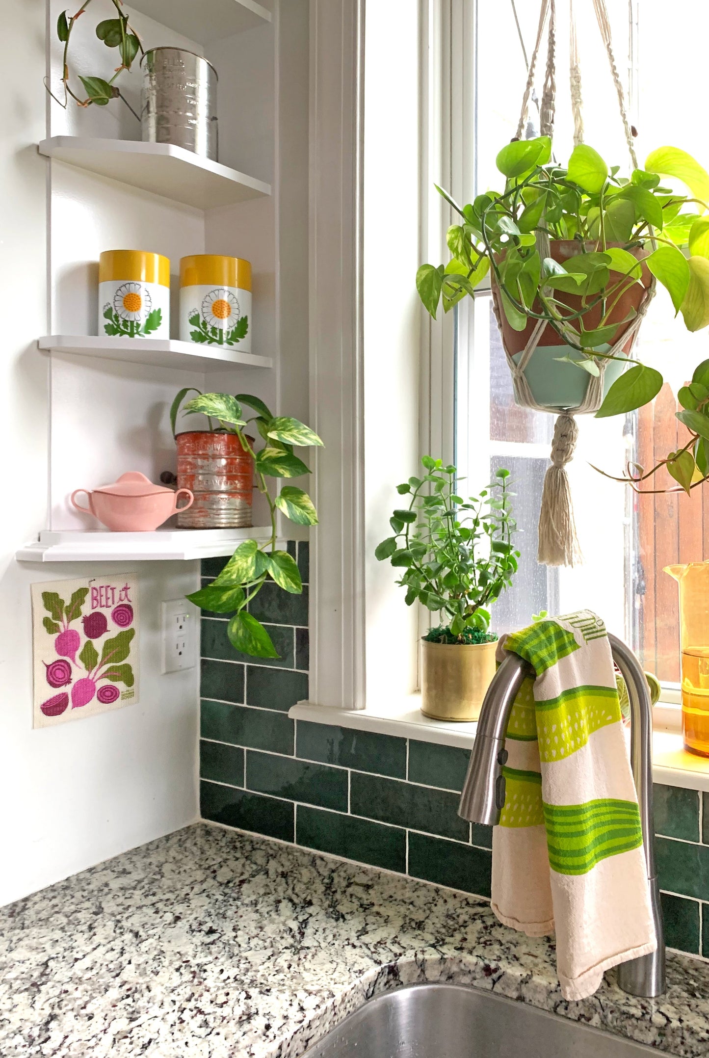 Farmers Market - Sponge Cloth SET OF 3