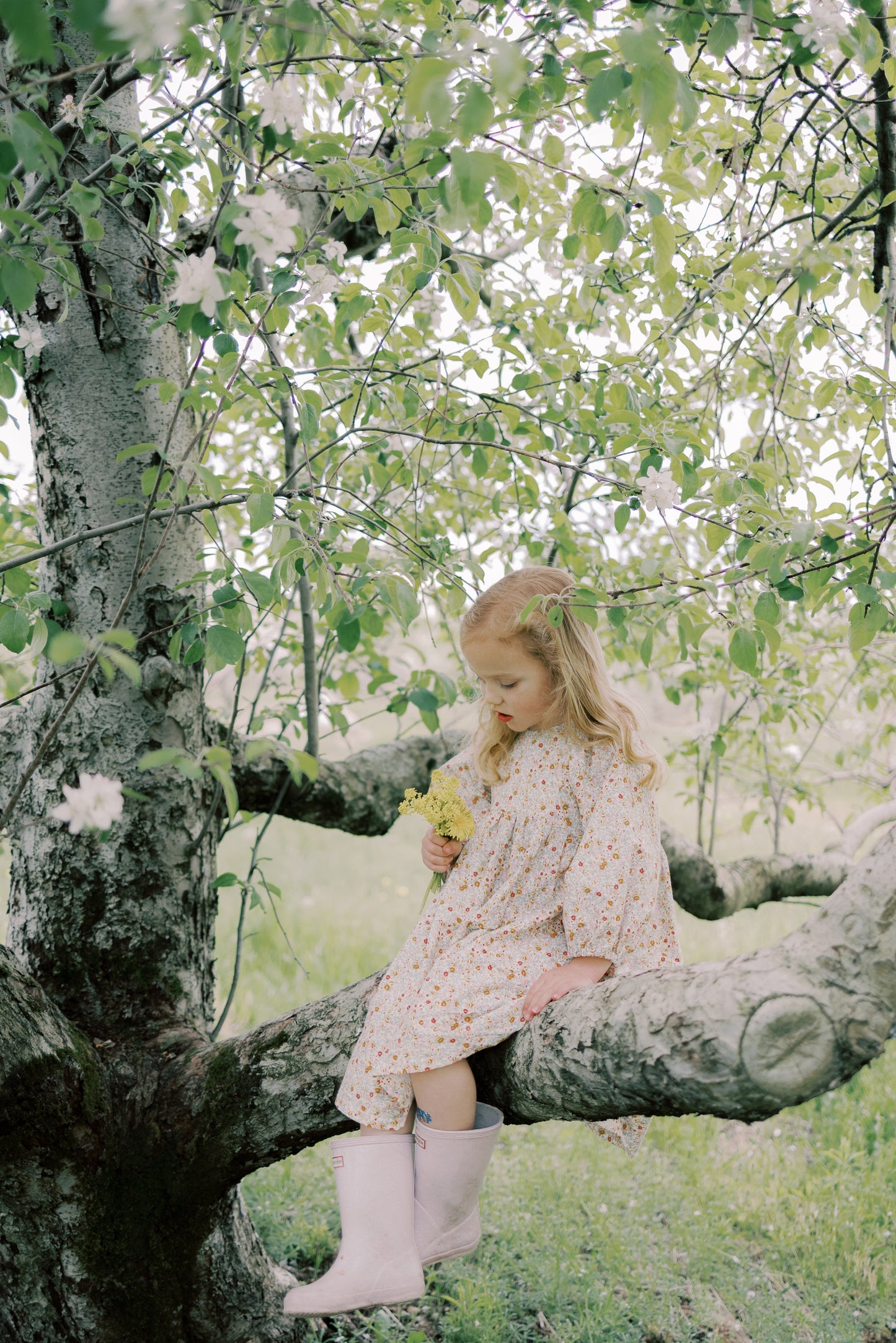 Willow Dress
