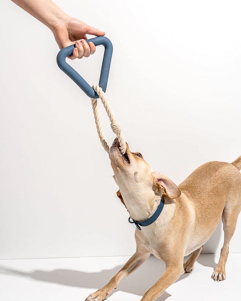 TRIANGLE TUG TOY by Wild One