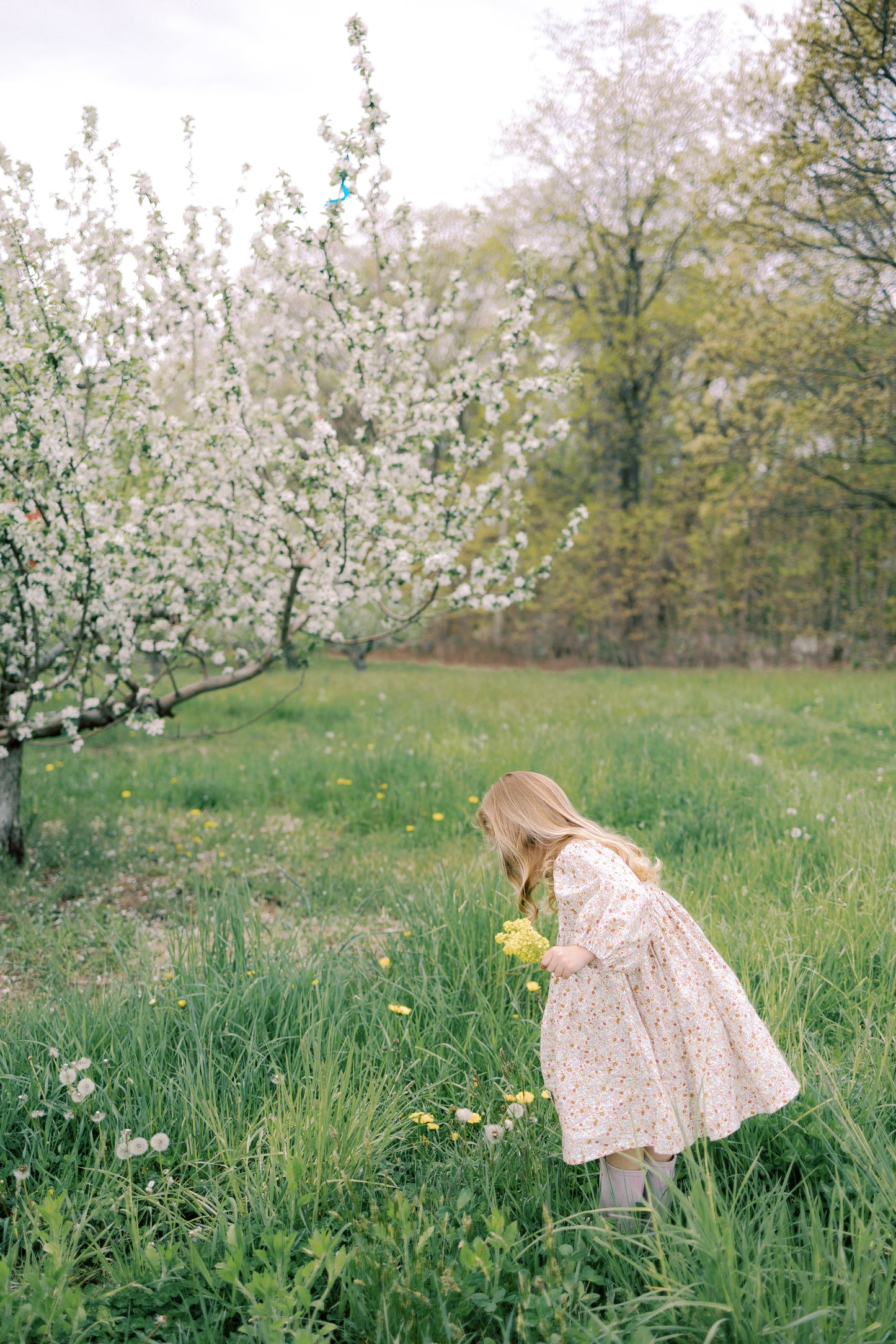 Willow Dress