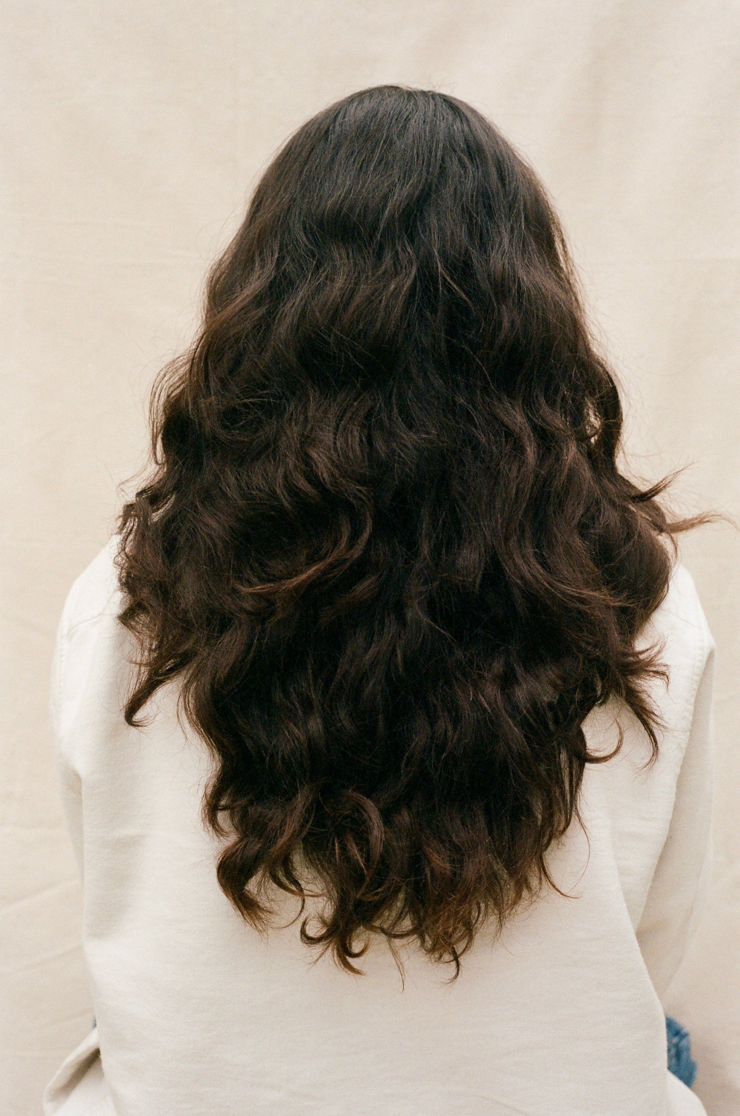 Dry Shampoo Brush