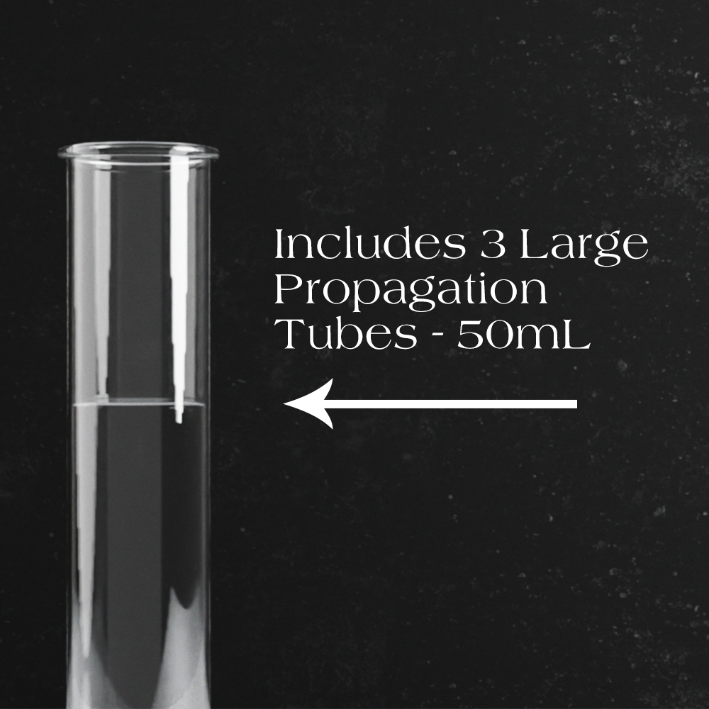 QUINTUPLE Propagation Stand