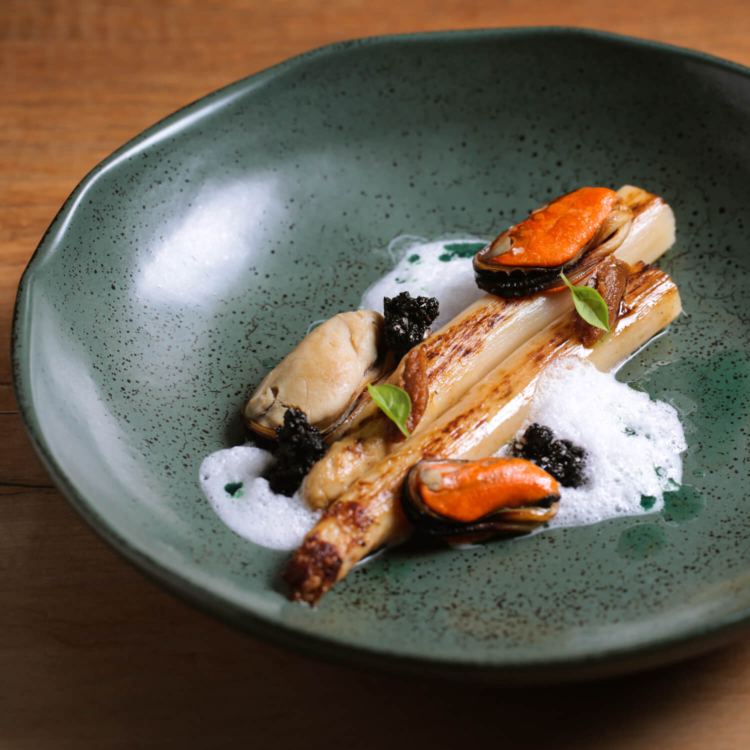 Pasta Plate Set of 6