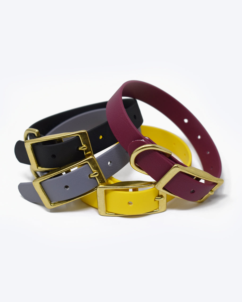 CLASSIC BRASS COLLAR by High Tail Hikes