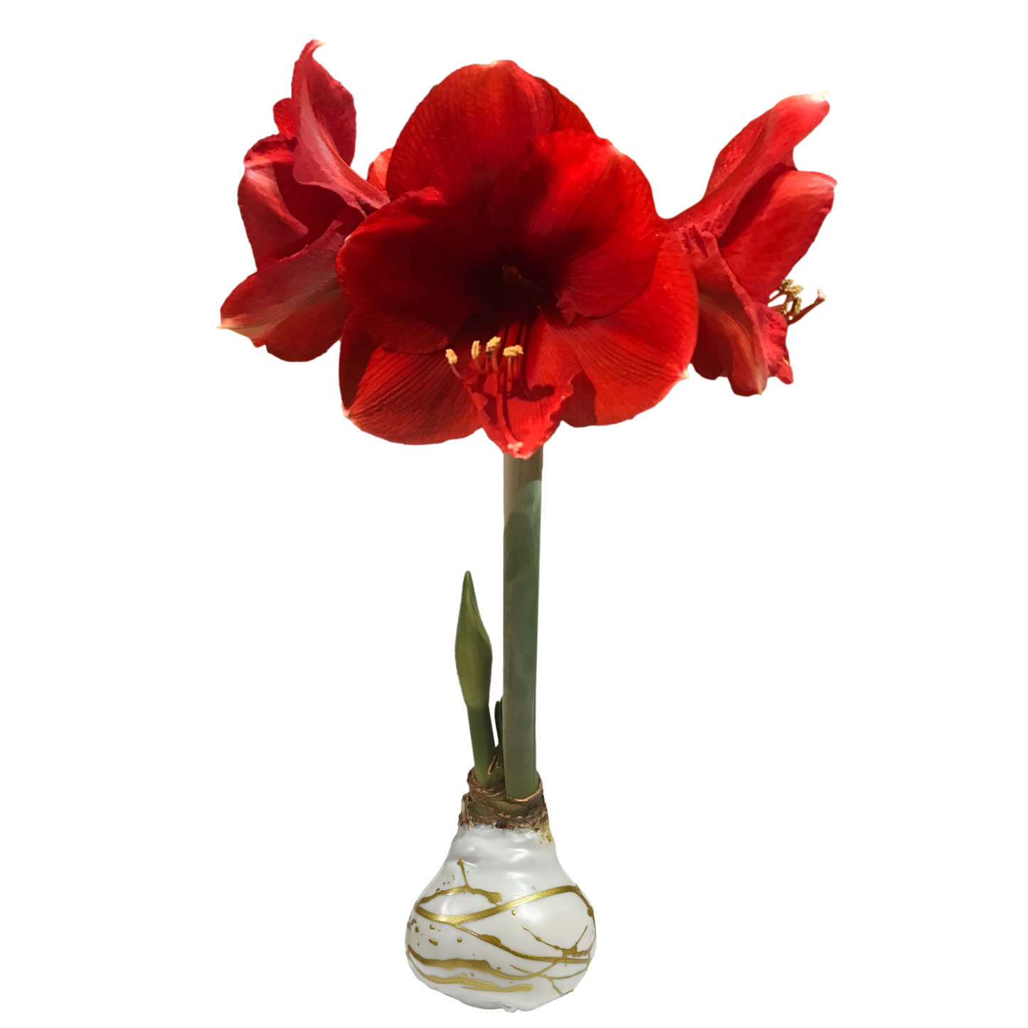 Red Flower White Wax Gold Lacquer Splatter 18 Bulbs