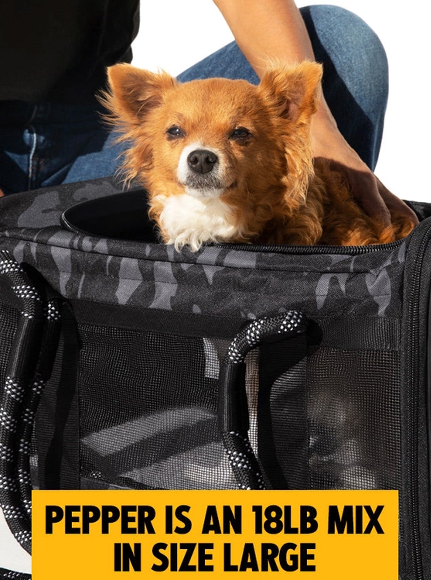 OUT-OF-OFFICE PET CARRIER by Roverlund