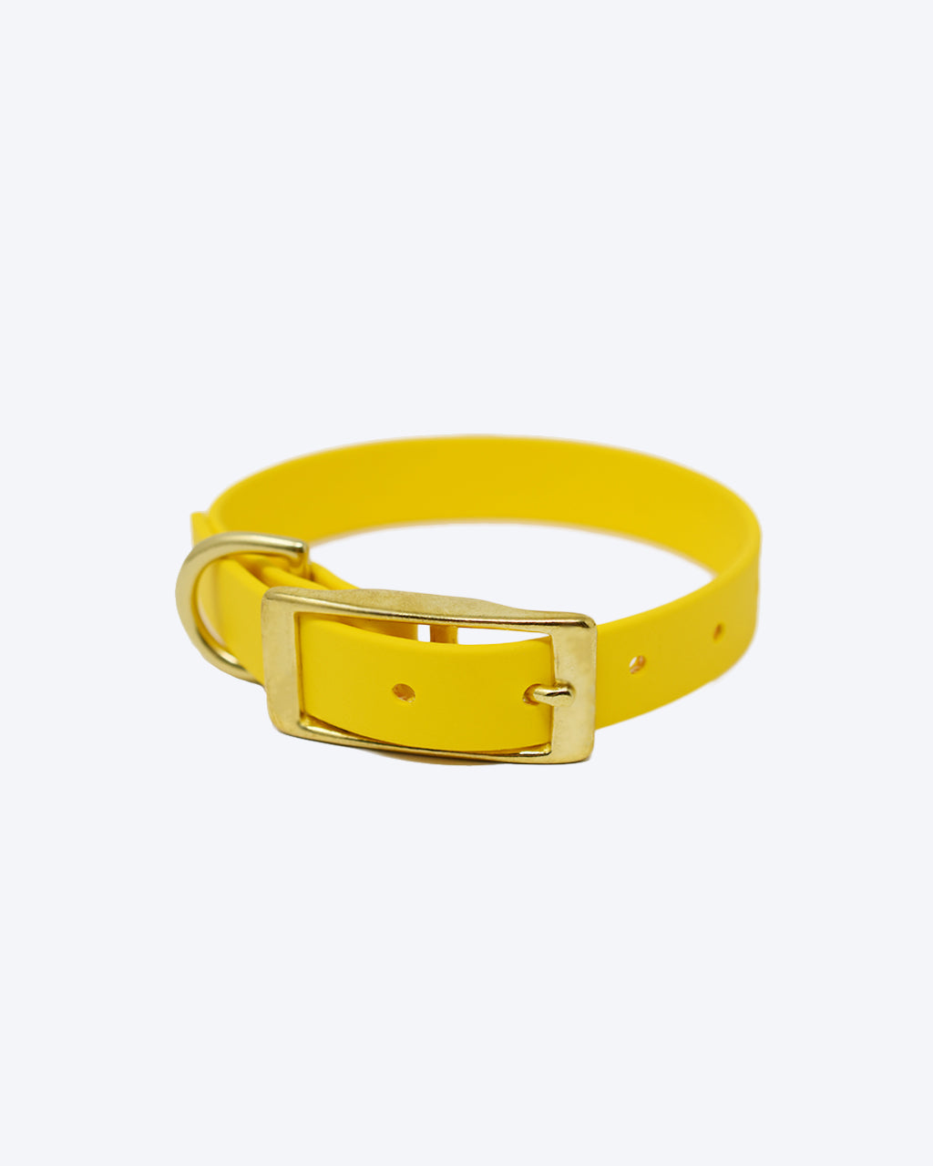 CLASSIC BRASS COLLAR by High Tail Hikes