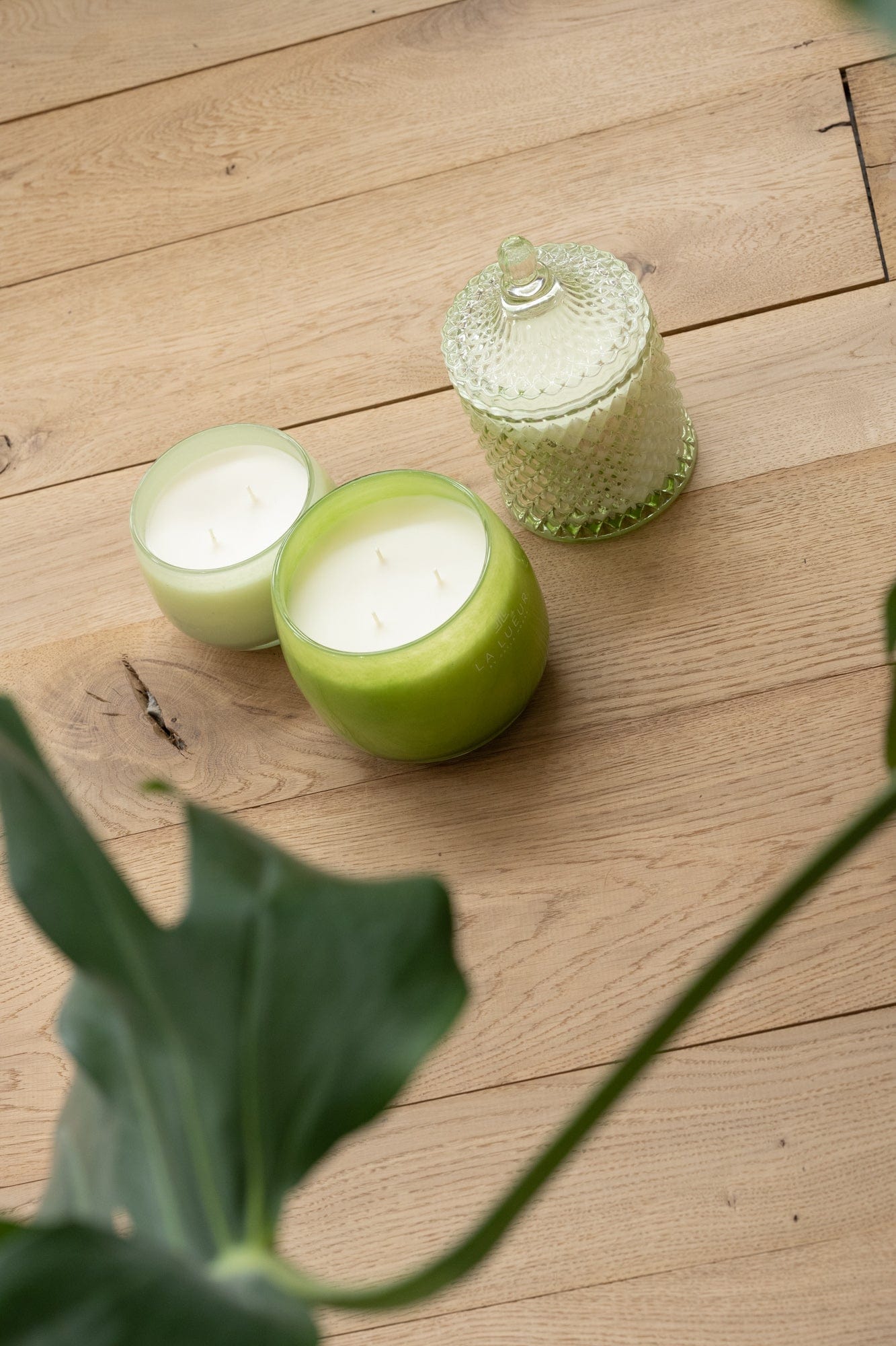 Coconut Lemongrass | 17 oz