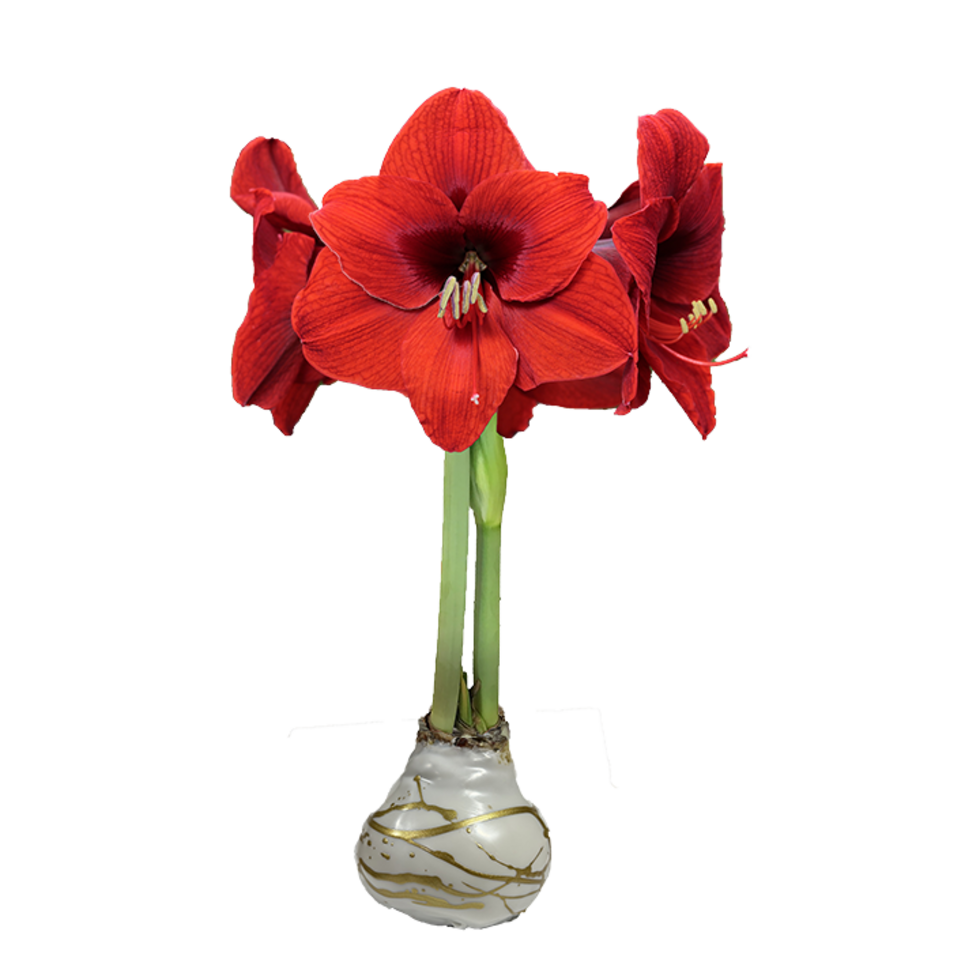 Red Flower White Wax Gold Lacquer Splatter Base 36+ 18 Bulbs