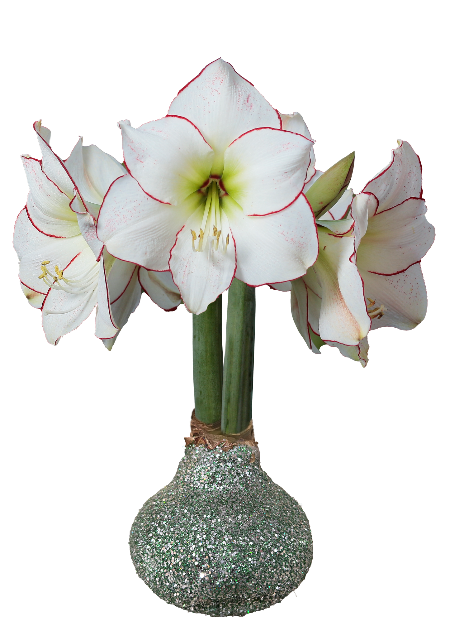 Picasso St. Patrick's Day Glitter Lamp With 18 Bulbs