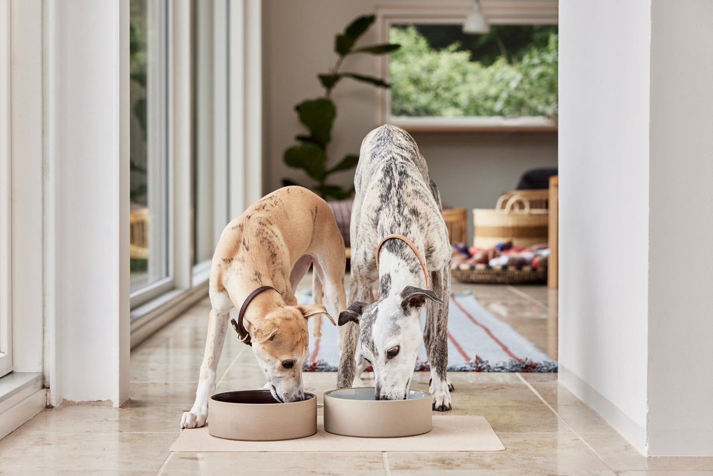Sia Dog Bowl Rose - Large