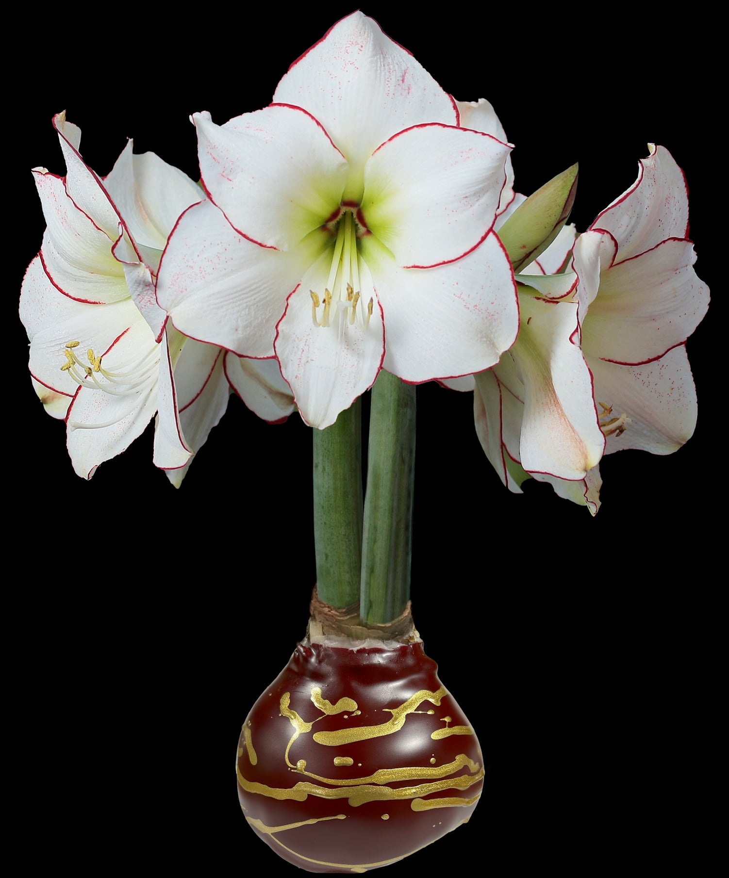 Picasso Burgundy Wax With Gold Lacquer Splatter Wax 18/case