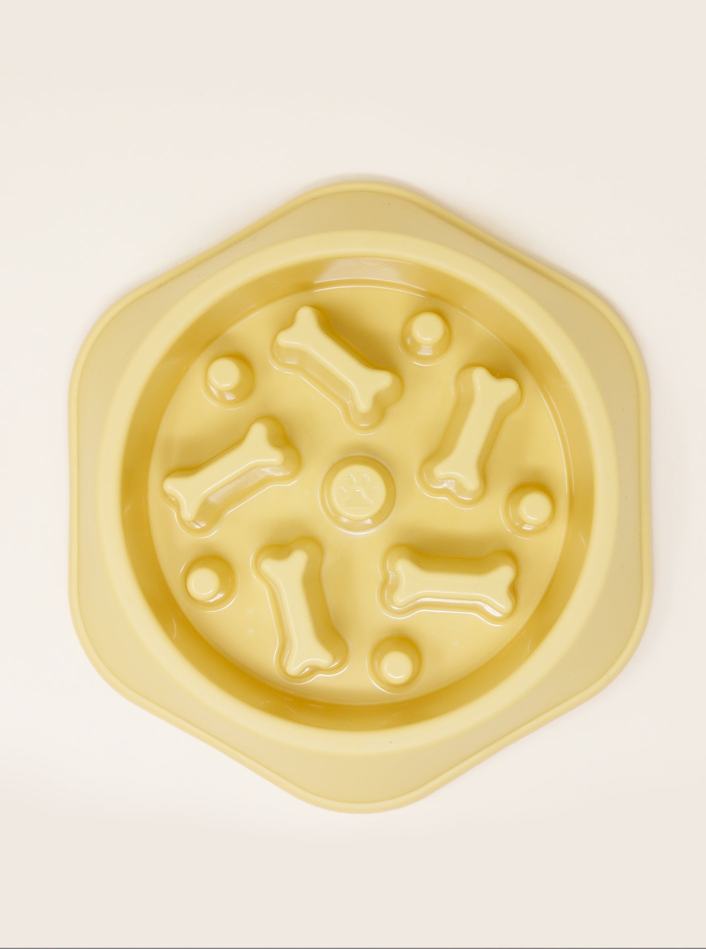 SLOW FEEDER BOWL