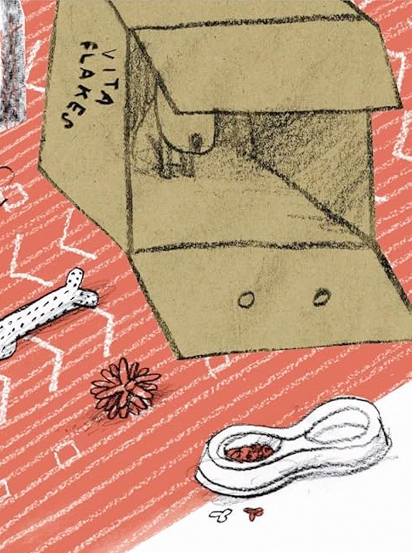 MY DOG HEN Children's Book