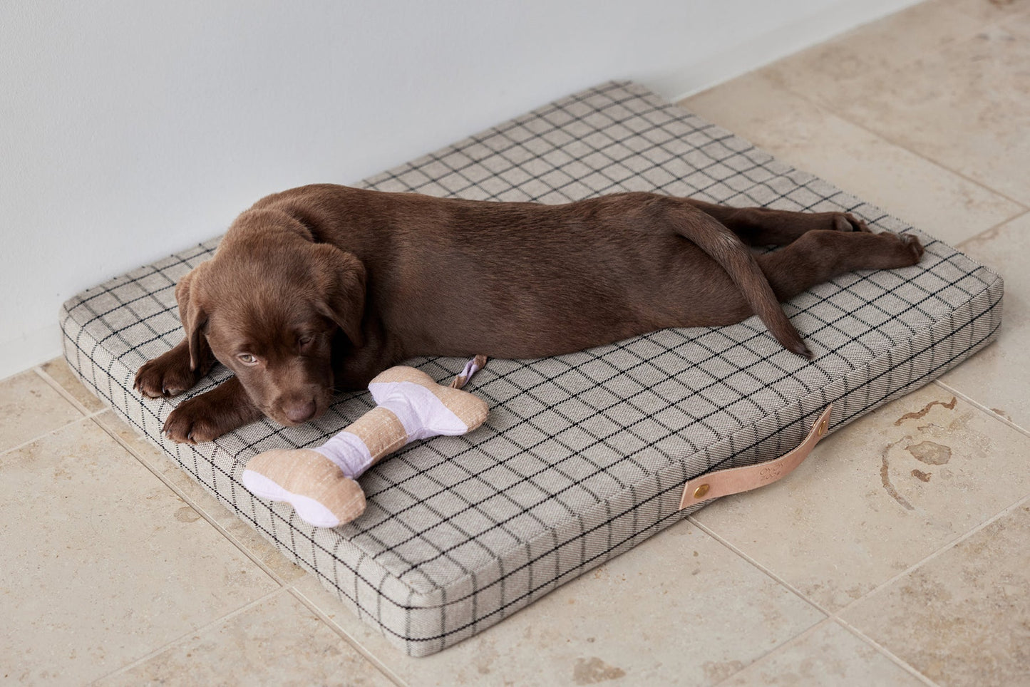 Ashi Dog Toy Large - Lavender/Amber