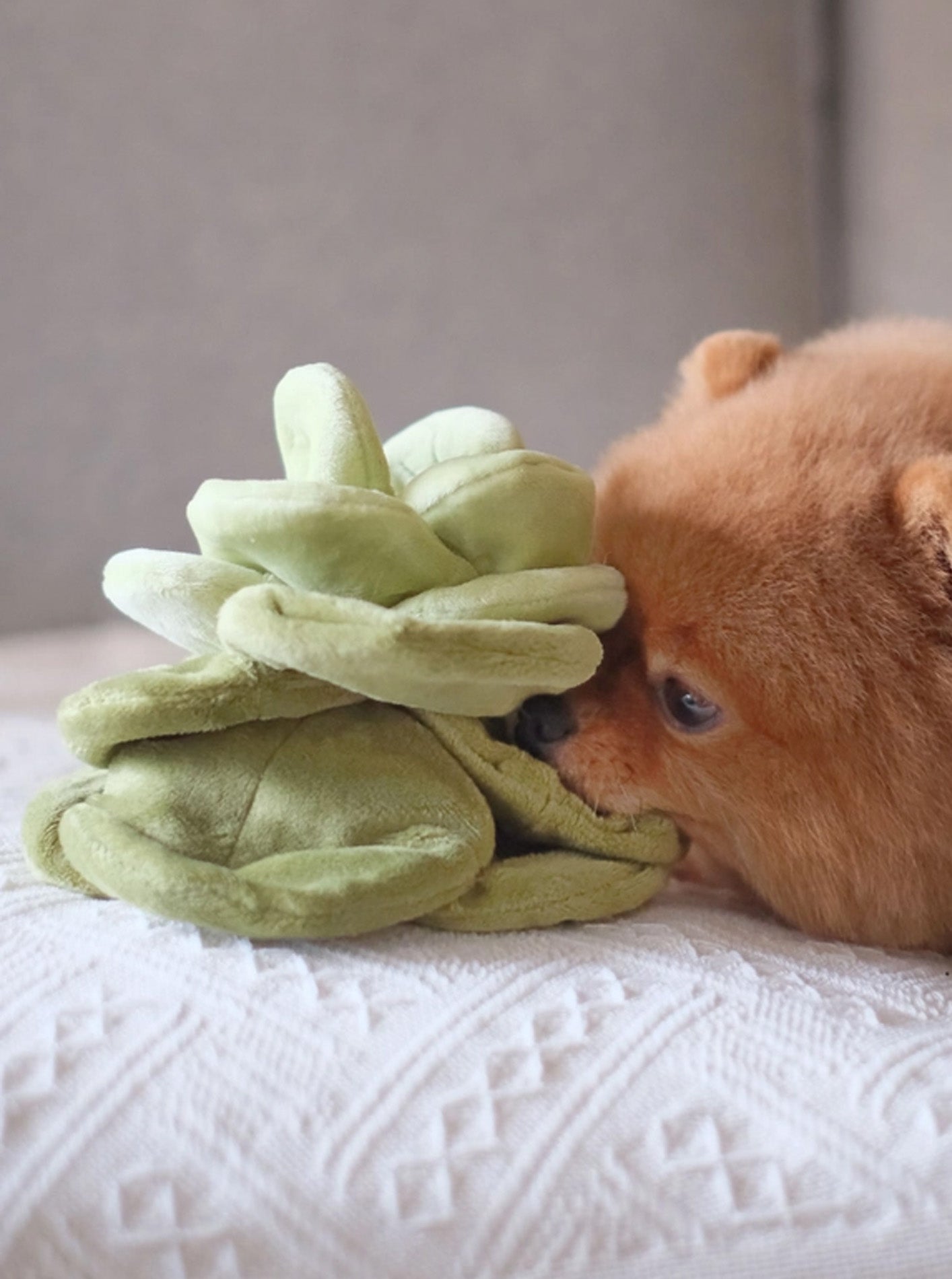 SNUFFLE CABBAGE NOSEWORK TOY by Pups & Bubs