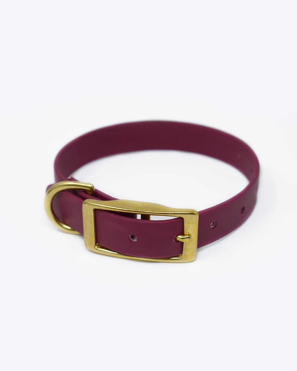CLASSIC BRASS COLLAR by High Tail Hikes