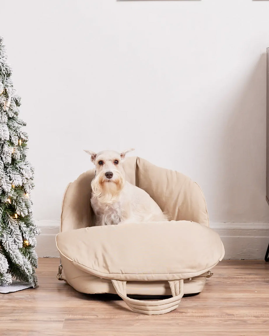 PET CARRIER by Nooee Pet