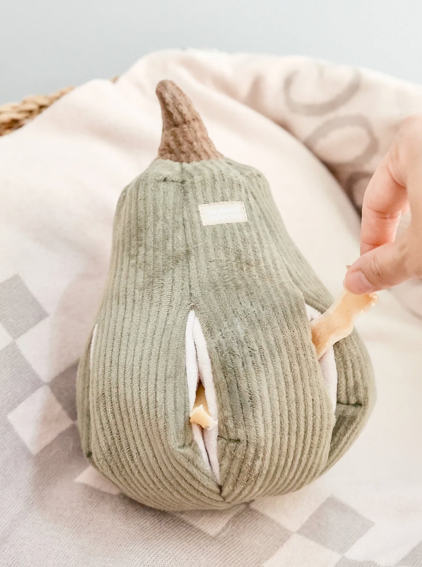 BUTTERNUT by Lambwolf Collective
