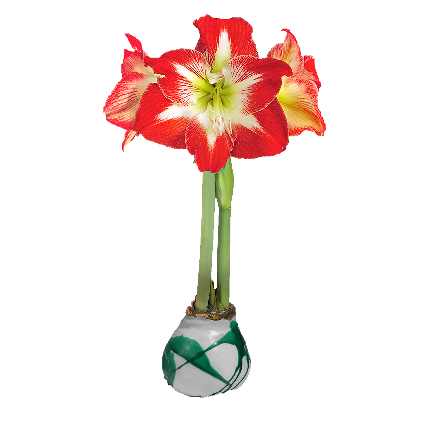 Minerva Flower White Wax Green Splatter Base 36+ 18 Bulbs