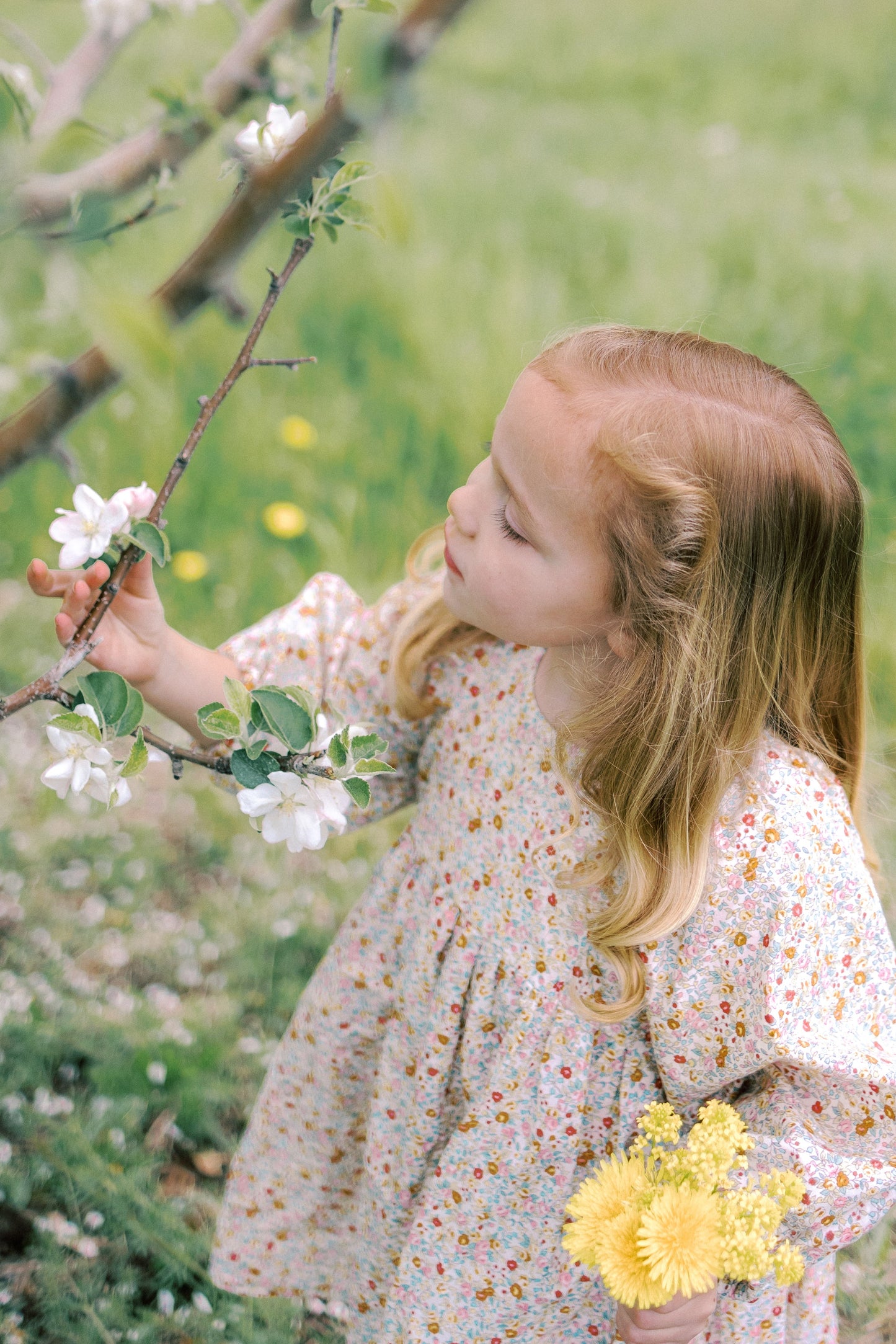 Willow Dress