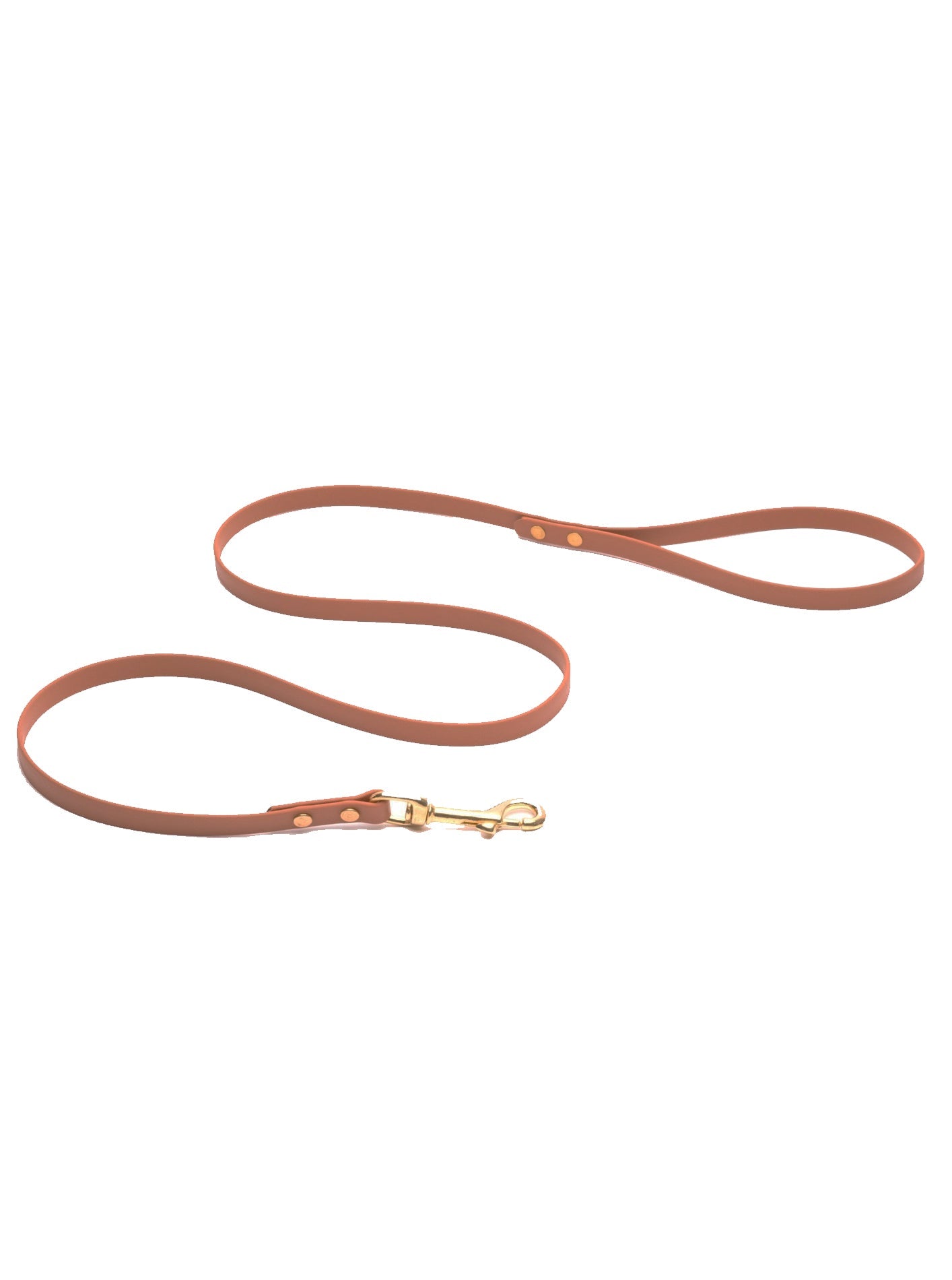 CLASSIC BRASS LEASH by High Tail Hikes