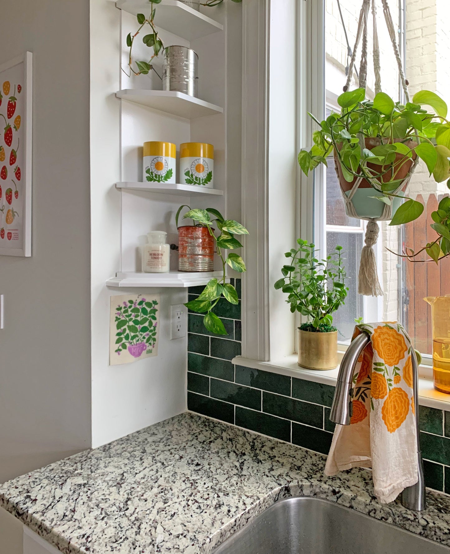 Fresh Herbs - Sponge Cloth SET OF 3