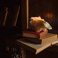 Evangeline Deer Skull Candle