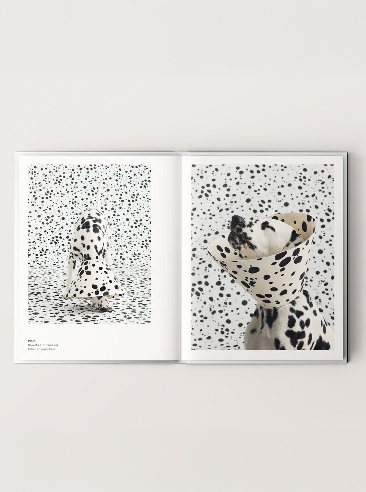 CONE OF SHAME by Winnie Au