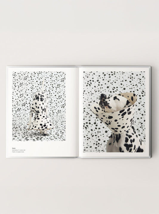 CONE OF SHAME by Winnie Au